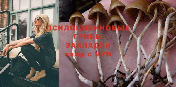 а пвп мука Балабаново